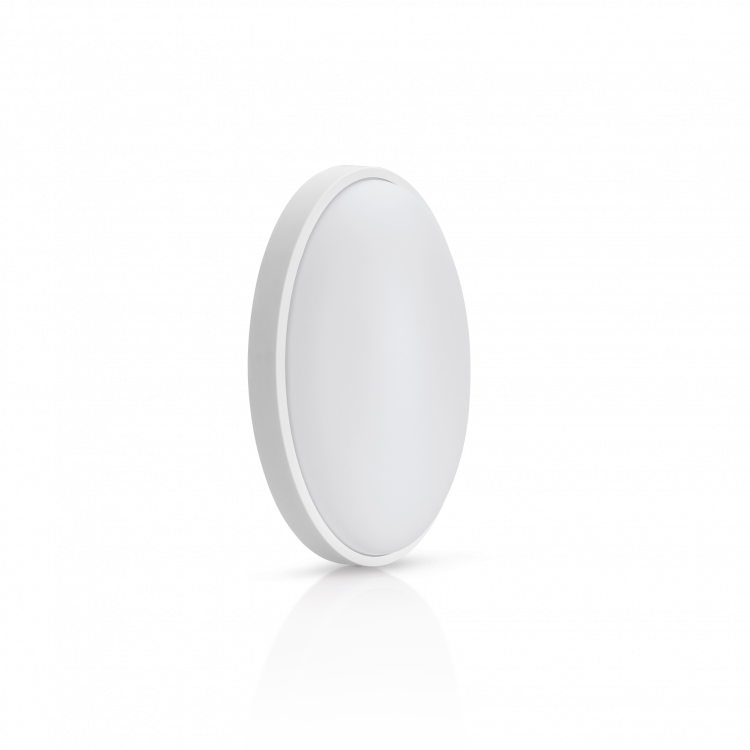 ASALEO1584P.png_1645788600