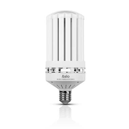 ASLLI408060.png_1773943847