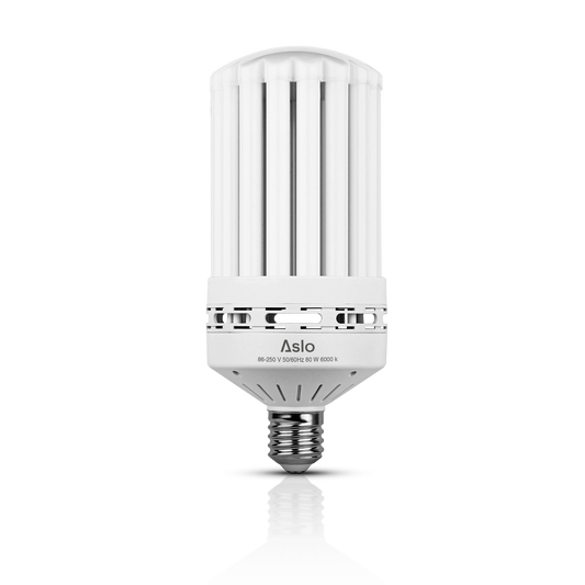 ASLLI408060.png_1773943847
