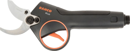 BCL23_2.jpg_1780010717