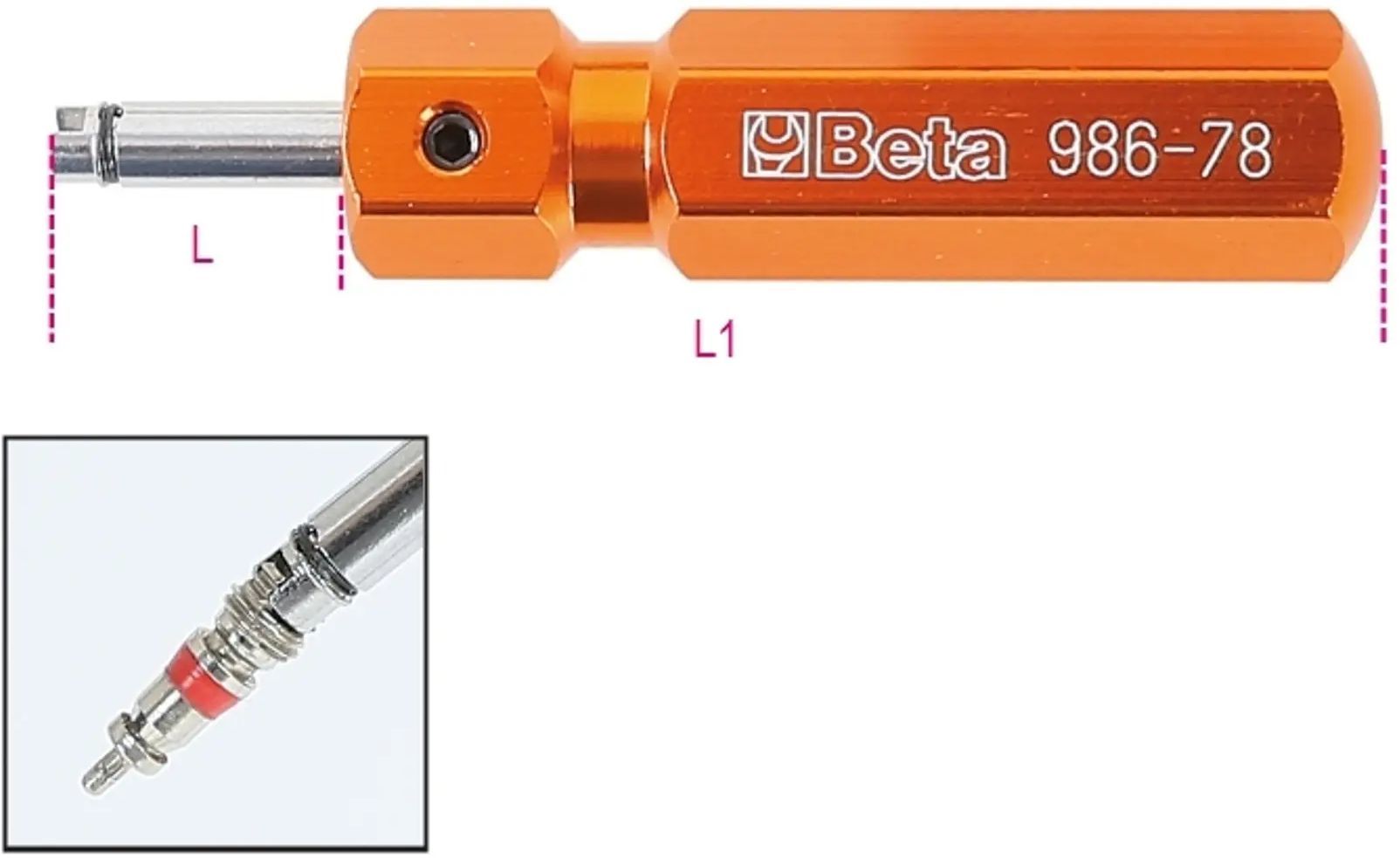 BETA986_78_2.jpg_1780010739