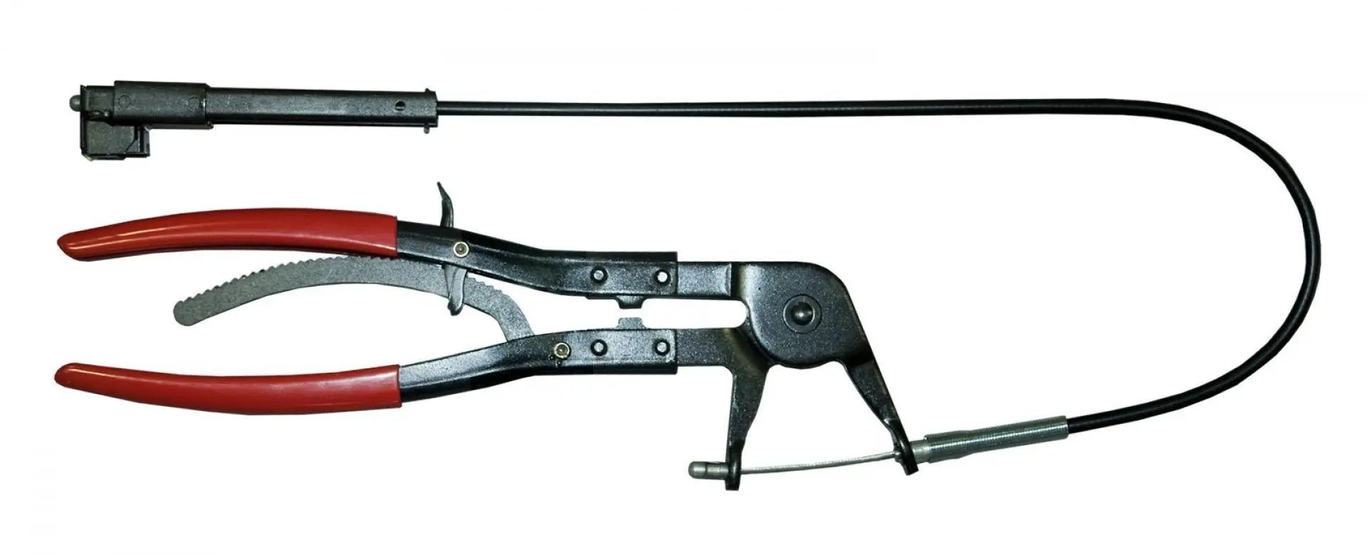 krof2415.jpg_1780011037