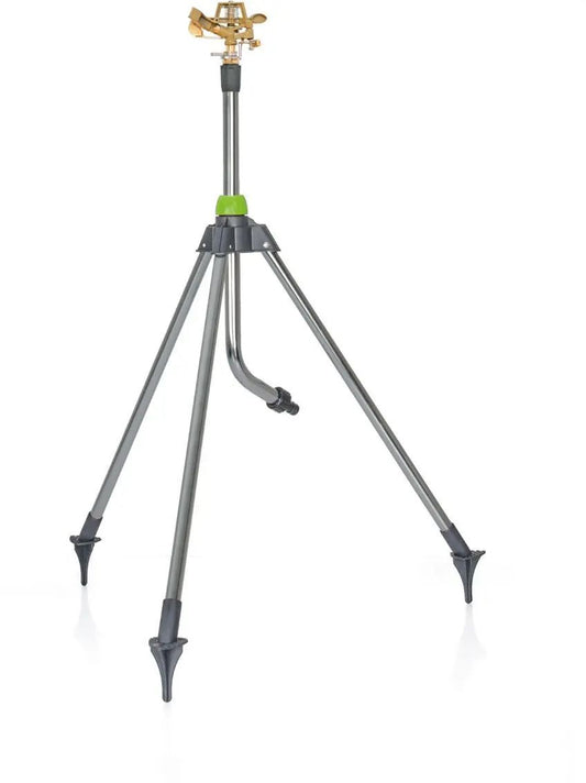 viactria.jpg_1780011370