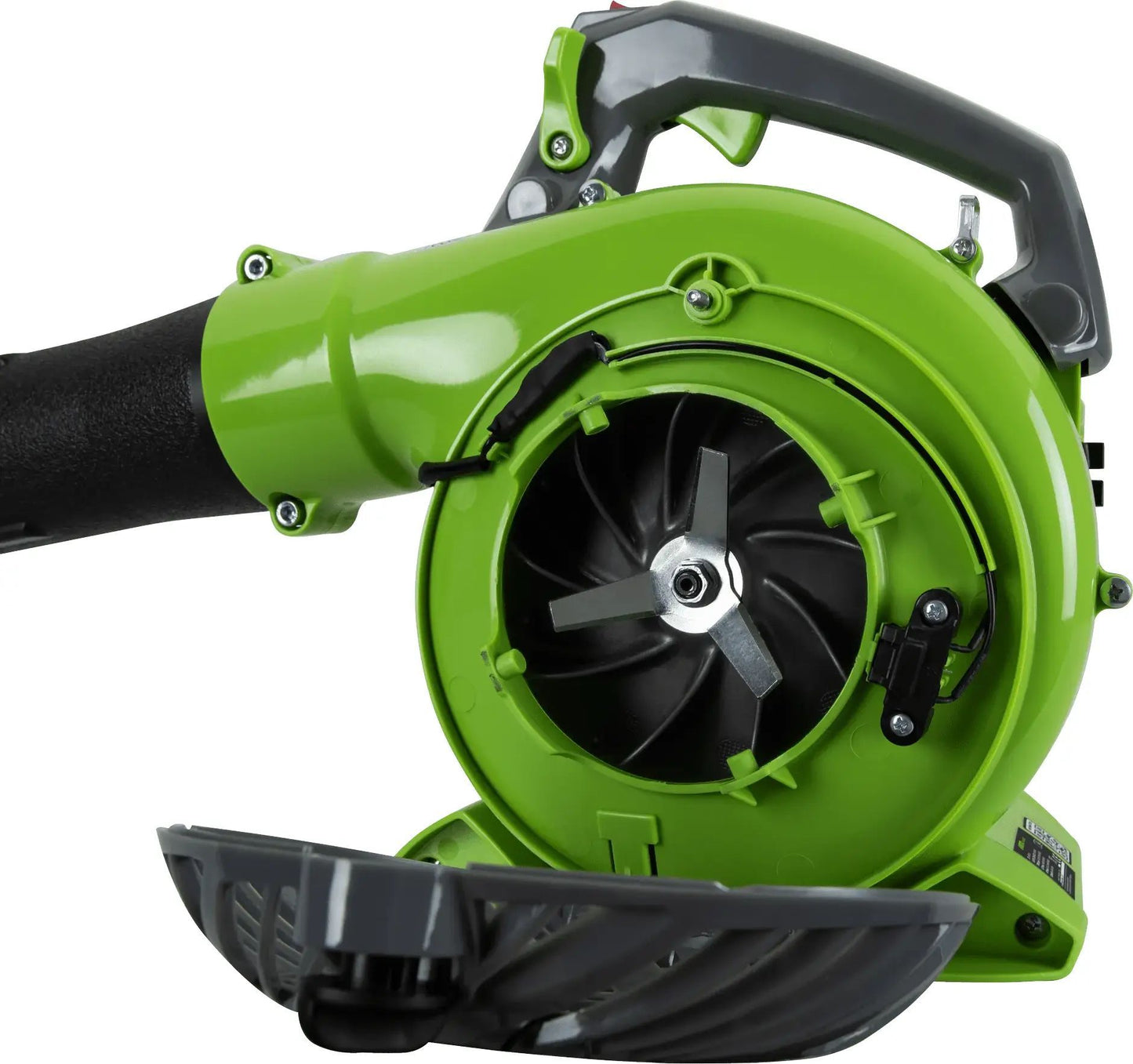 VISA25_1.jpg_1780011463