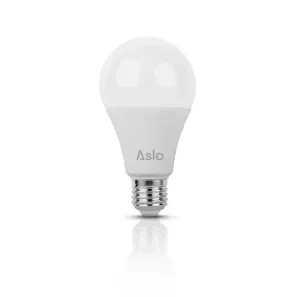 LAMPADA LED STANDARD A70 E27 14W