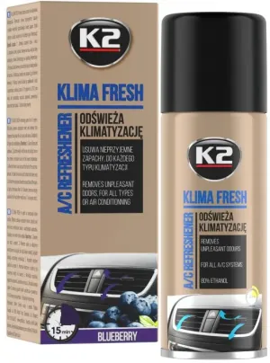 DESINFECTANTE E PURIFICADOR DE AR CONDICIONADO BLUEBERRY K2