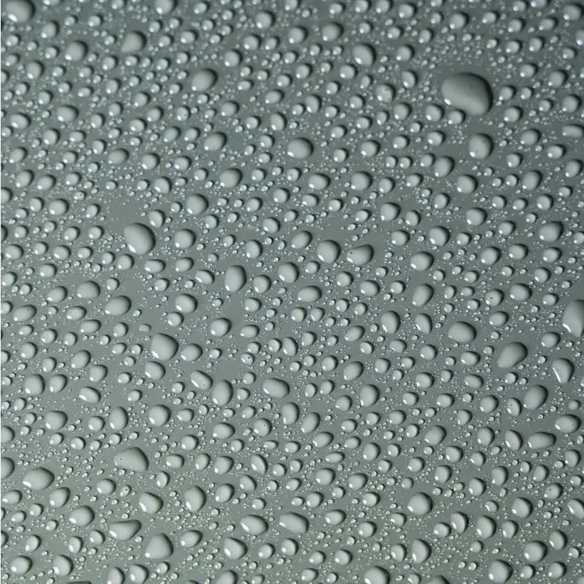 D3021_4.webp